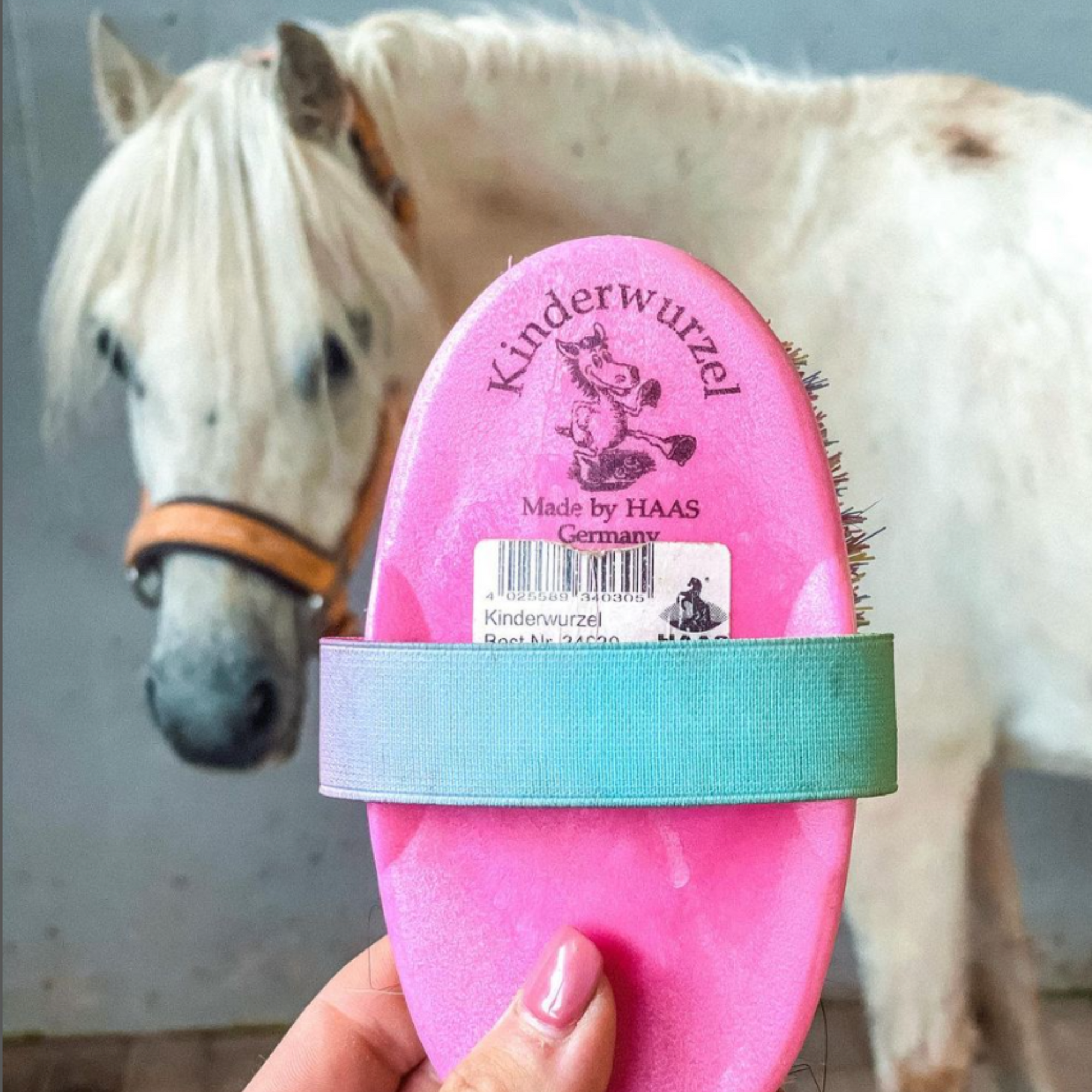 Haas Kinderkardätsche Brush