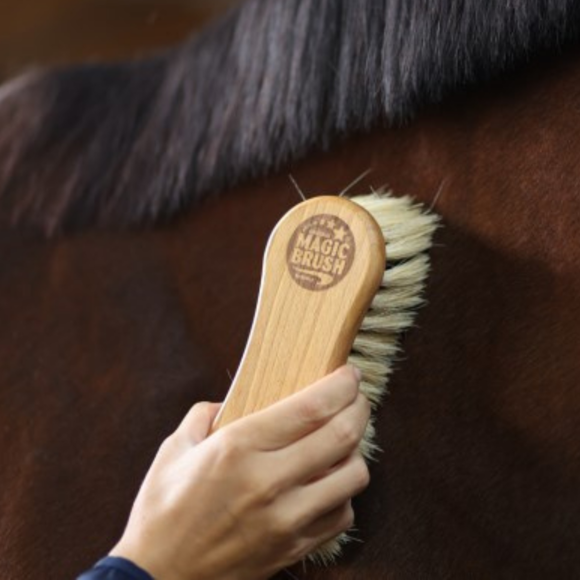 MagicBrush Combi Brush