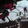Equestrian Stockholm Jump Pad - Bordeaux