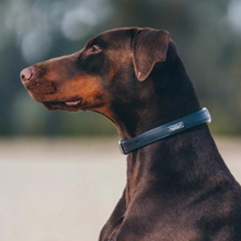 Load image into Gallery viewer, Equestrian Stockholm Dog Collar - Midnight Blue
