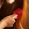 Premier Equine Mane & Tail Brush - Red