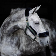 Load image into Gallery viewer, Equestrian Stockholm Headcollar &amp; Leadrope - Deep Olivine
