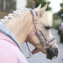 Load image into Gallery viewer, Equestrian Stockholm Headcollar &amp; Leadrope - Pink
