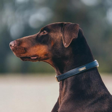 Load image into Gallery viewer, Equestrian Stockholm Dog Collar - Royal Classic
