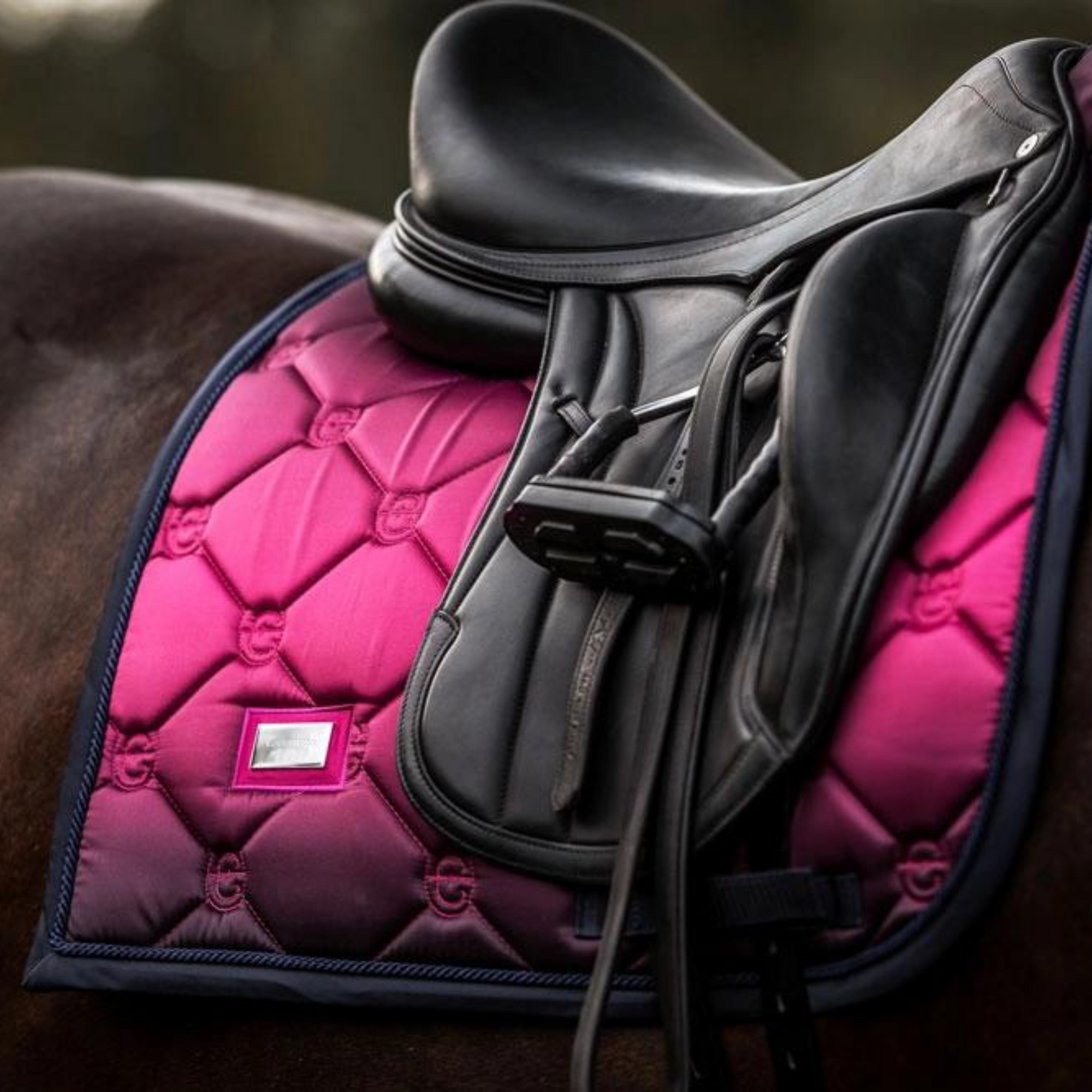 Equestrian Stockholm Dressage Pad - Faded Fuschia