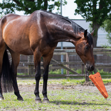 Load image into Gallery viewer, QHP Horse Toy - Carrot XL 50cm
