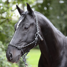 Load image into Gallery viewer, Covalliero Rope Headcollar - Black / Grey

