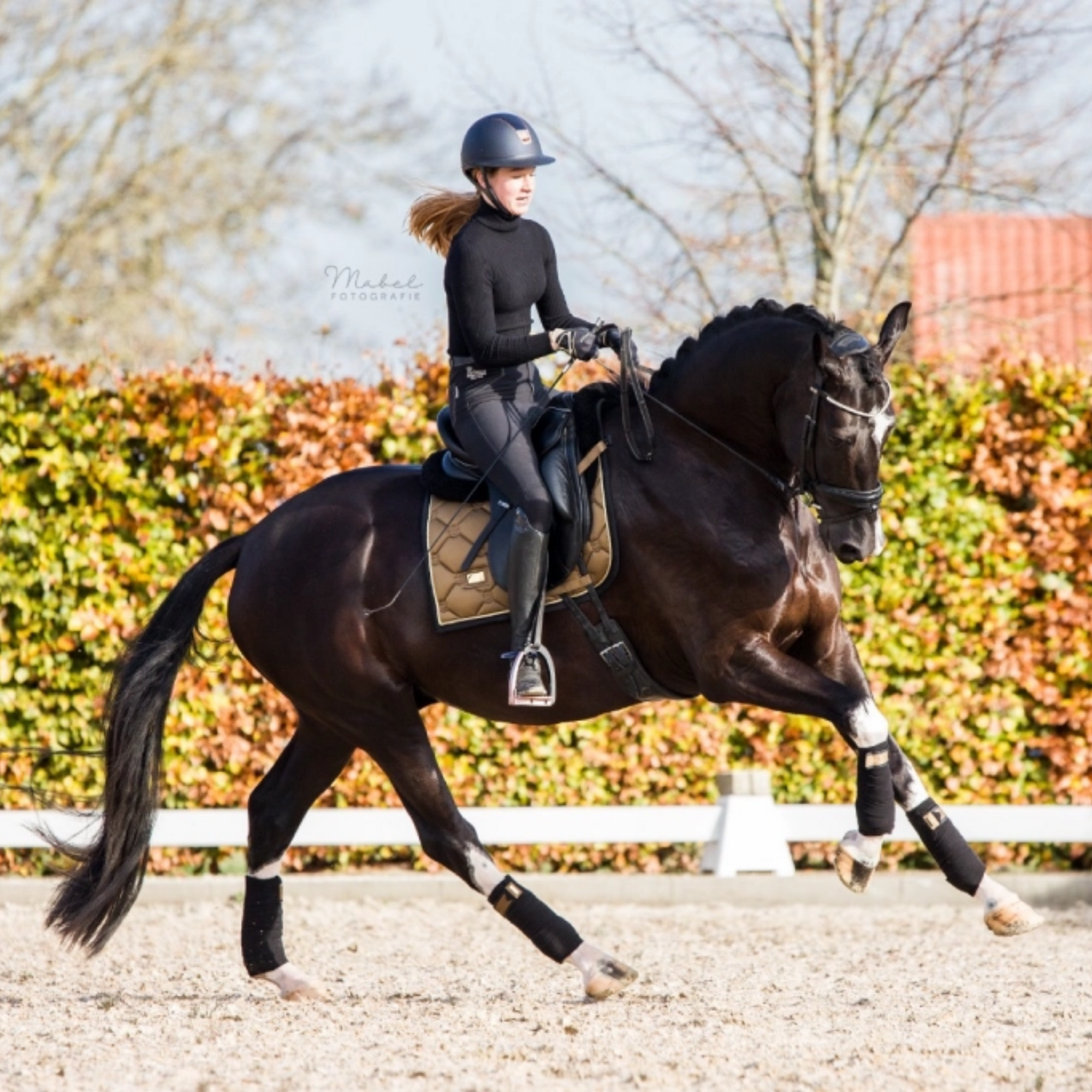 Equestrian Stockholm Dressage Pad - Golden Brass
