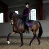 Equestrian Stockholm Dressage Pad - Black Raven