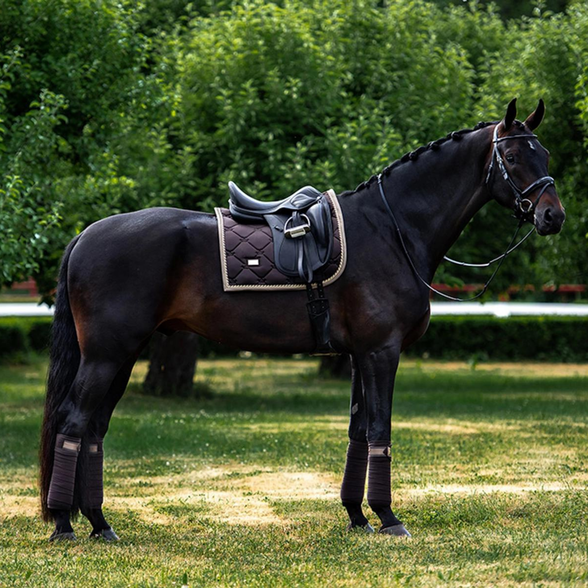 Equestrian Stockholm Dressage Pad - Golden Brown