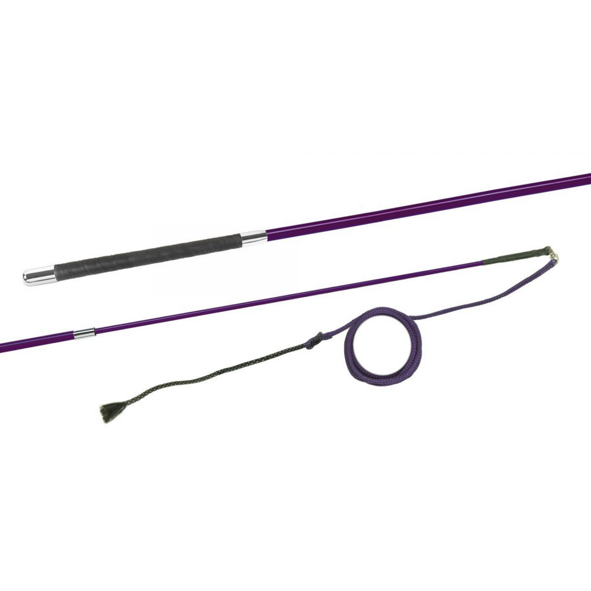 Fleck Telescopic Lunge Whip