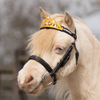 QHP Browband Crown - Gold