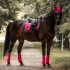 Equestrian Stockholm Dressage Pad - Faded Fuschia