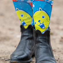 Load image into Gallery viewer, Dreamers &amp; Schemers Pair &amp; a Spare Boot Socks - Pro-Cat-Stinating
