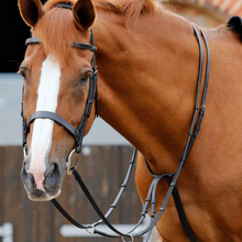 Load image into Gallery viewer, Premier Equine Santadi Adjustable Running Martingale
