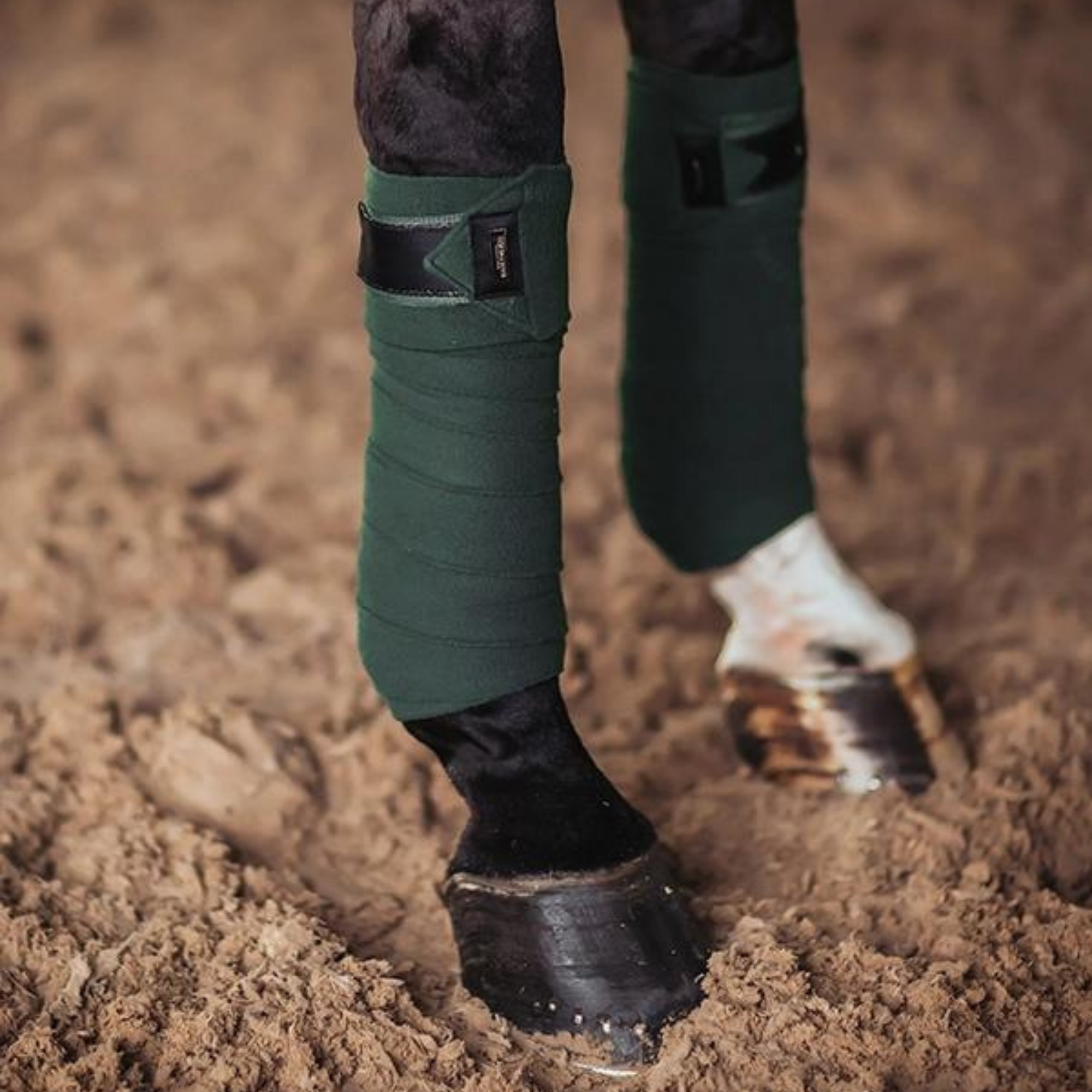 Equestrian Stockholm Bandages - Deep Olivine