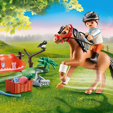 Load image into Gallery viewer, Playmobil Collectible Connemara Pony
