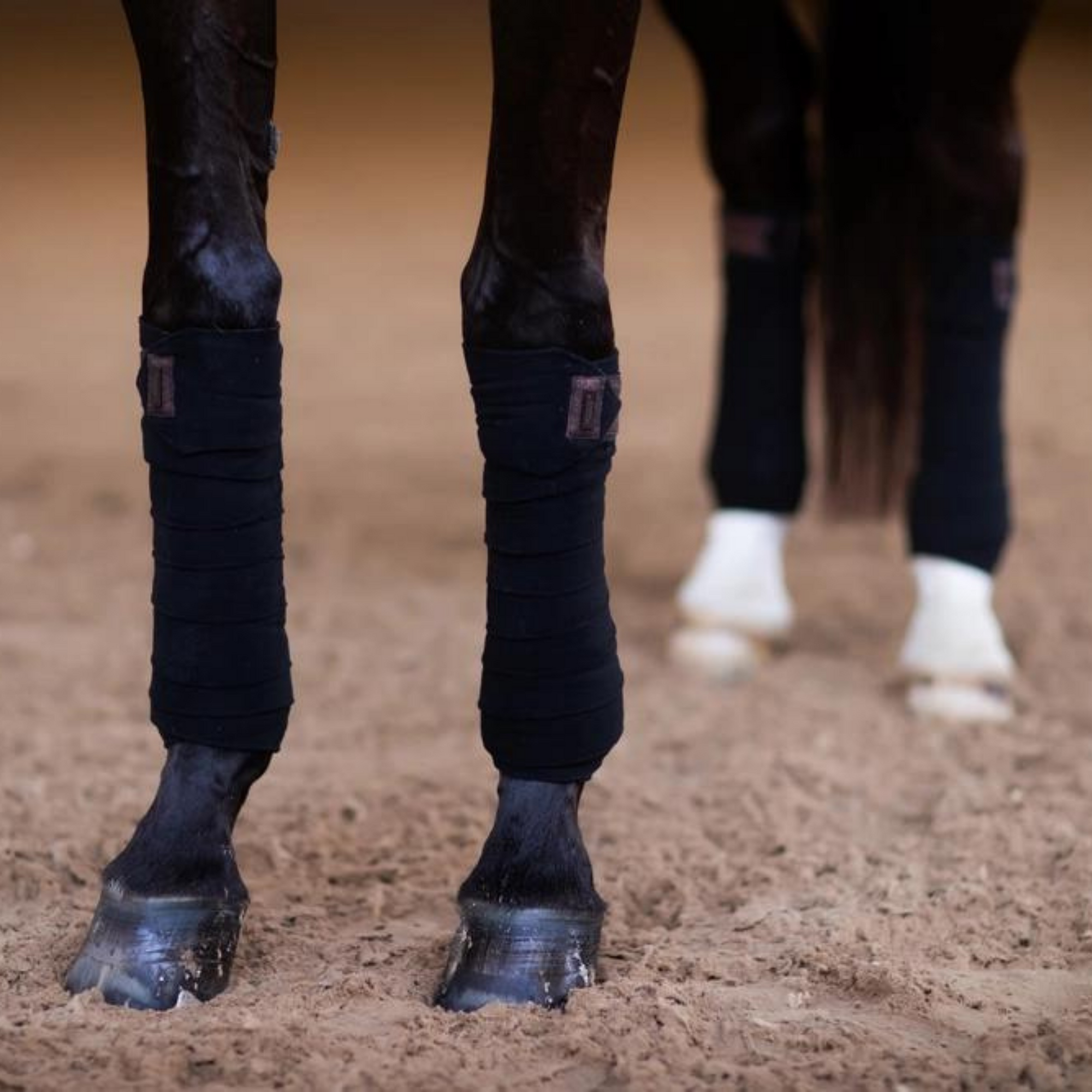 Equestrian Stockholm Bandages - Mahogany Glimmer