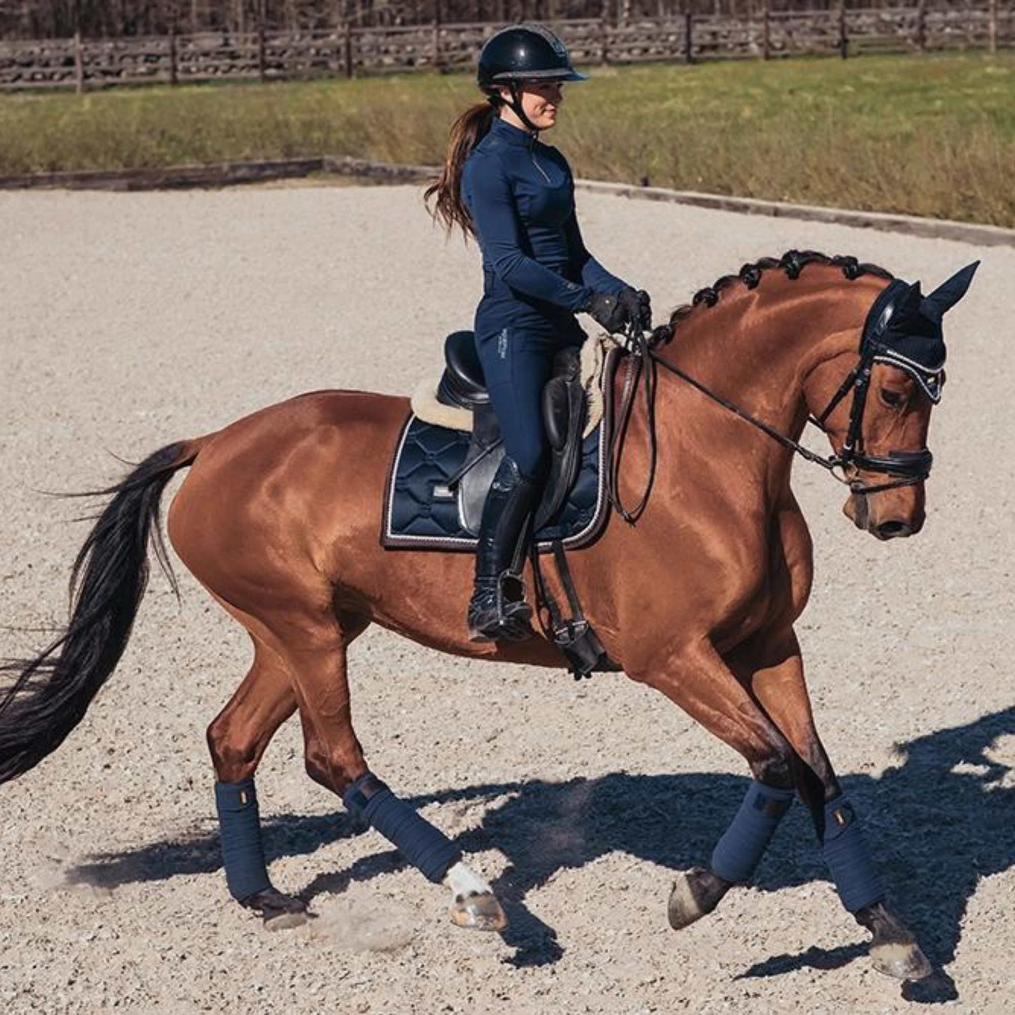Equestrian Stockholm Dressage Pad - Royal Classic