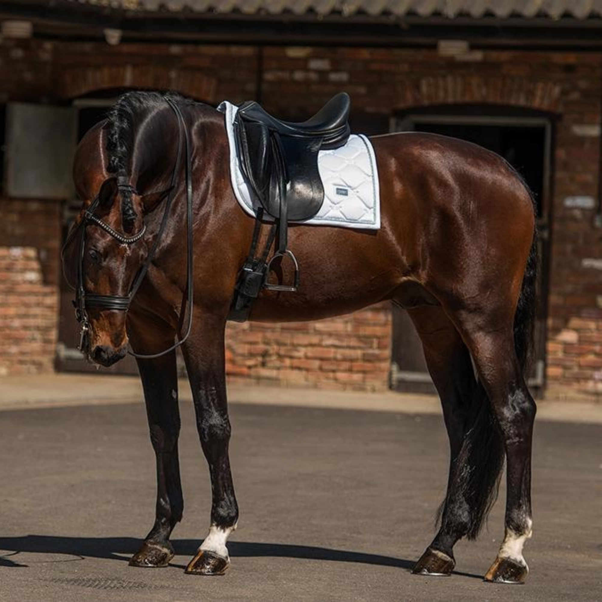 Equestrian Stockholm Dressage Pad - White Silver