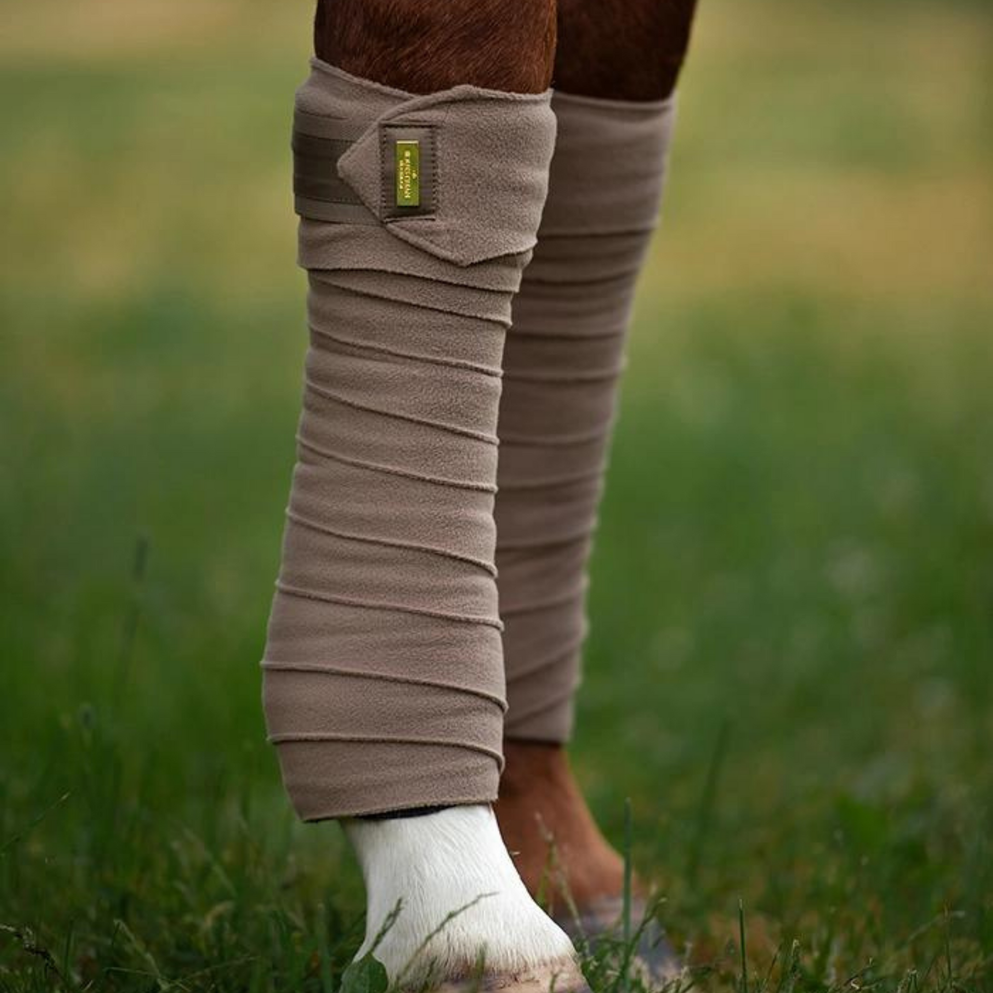 Equestrian Stockholm Bandages - Champagne