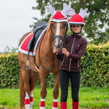 Load image into Gallery viewer, Reindeer Ear Bonnet - Pony
