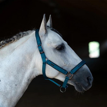 Load image into Gallery viewer, Equestrian Stockholm Headcollar &amp; Leadrope - Aurora Blues
