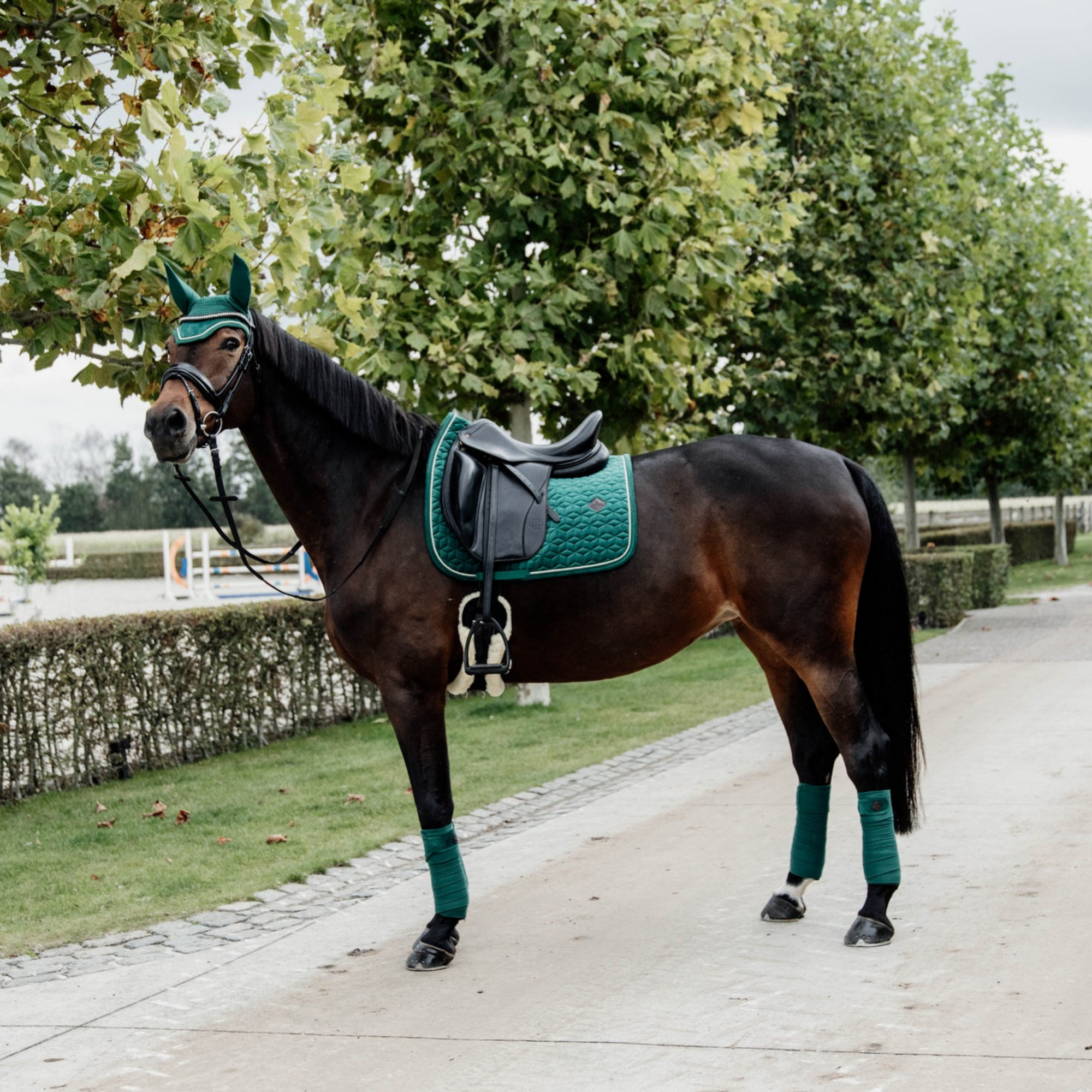Kentucky Velvet Dressage Pad - Dark Green