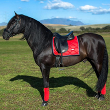 Load image into Gallery viewer, Equestrian Stockholm Dressage Pad - Grenadine
