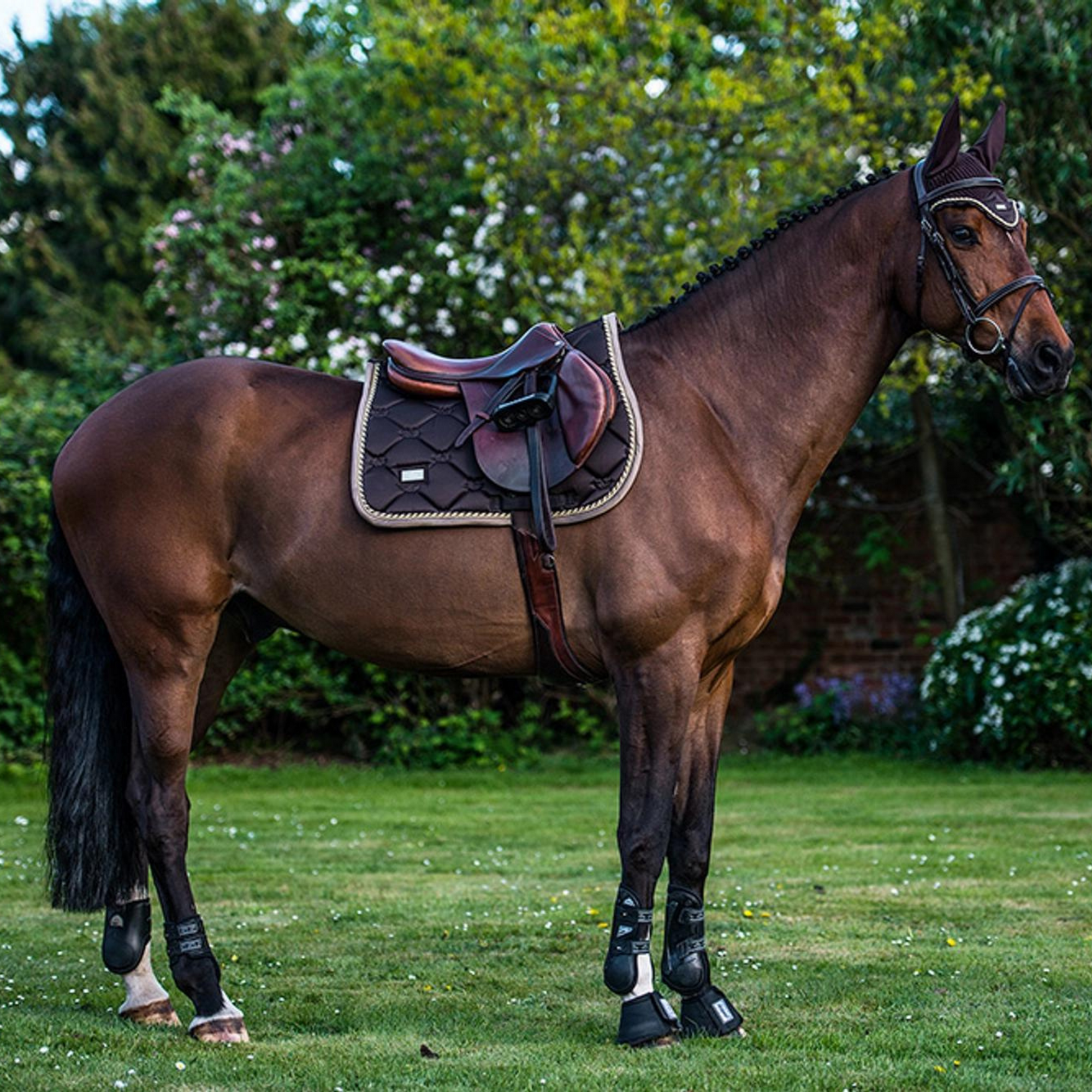 Equestrian Stockholm Jump Pad - Golden Brown