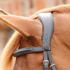 Premier Equine Glorioso Grackle Bridle