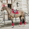 Kentucky Velvet Dressage Pad - Red