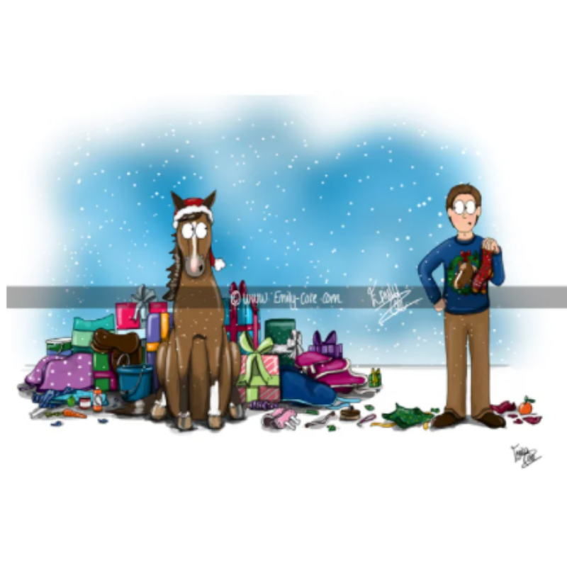 Emily Cole Christmas Greeting Cards -  Pack of 10 cards