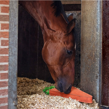 Load image into Gallery viewer, QHP Horse Toy - Carrot XL 50cm

