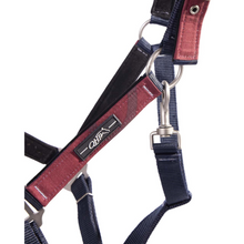 Load image into Gallery viewer, QHP Headcollar &amp; Leadrope Set - Burgundy/Navy
