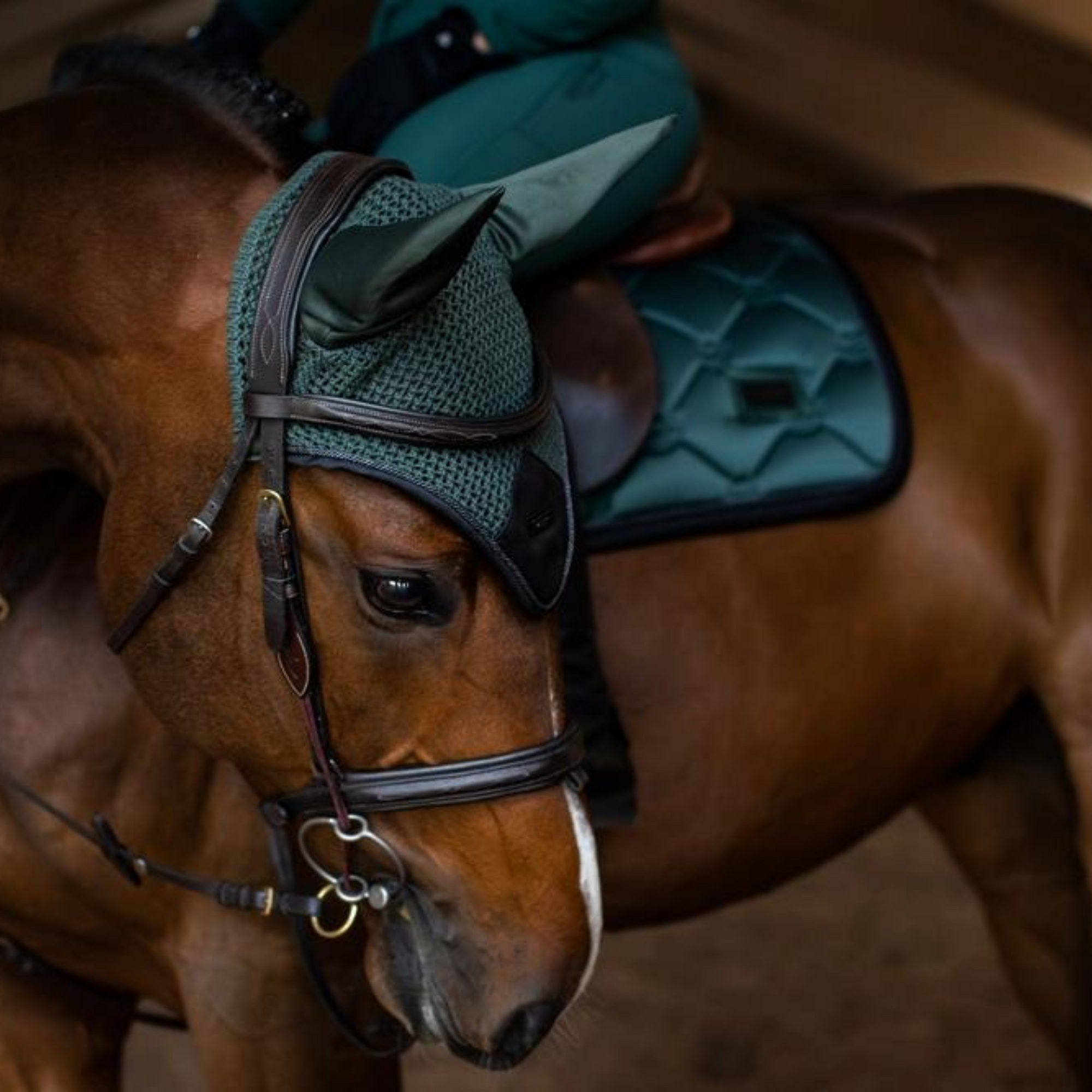 Equestrian Stockholm Ear Bonnet - Sycamore Green