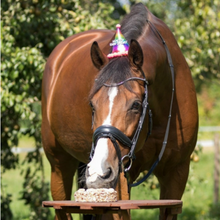 Load image into Gallery viewer, QHP Horse Birthday Hat - Blue

