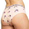 Derriere Equestrian Performance Padded Panty - Logo