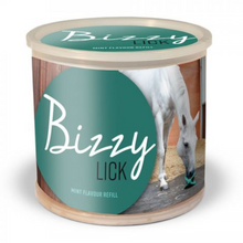Load image into Gallery viewer, Bizzy Horse Lick - Mint
