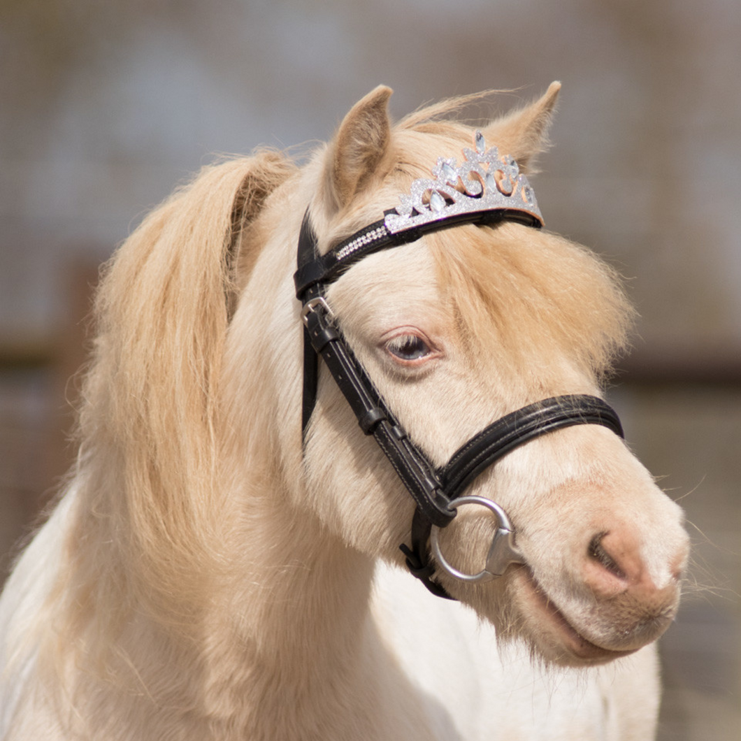 QHP Browband Crown - Silver
