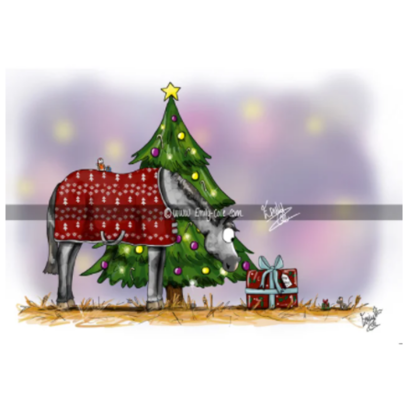 Emily Cole Christmas Greeting Cards -  Pack of 10 cards