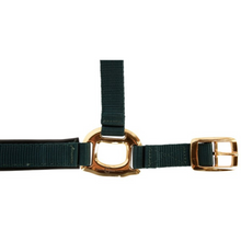 Load image into Gallery viewer, Covalliero Topline Headcollar &amp; Leadrope - Forest
