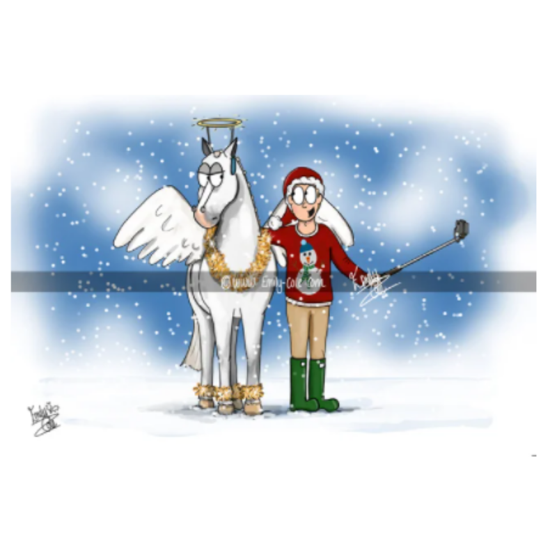 Emily Cole Christmas Greeting Cards -  Pack of 10 cards