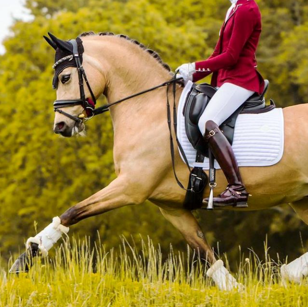 Kentucky Pearl Dressage Pad - White