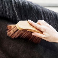 Load image into Gallery viewer, Grooming Deluxe Dandy Brush - Soft
