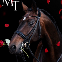 Load image into Gallery viewer, MagicTack Curved Browband - Valentine
