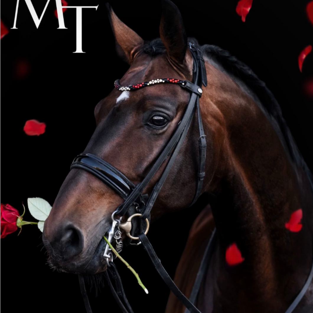 MagicTack Curved Browband - Valentine