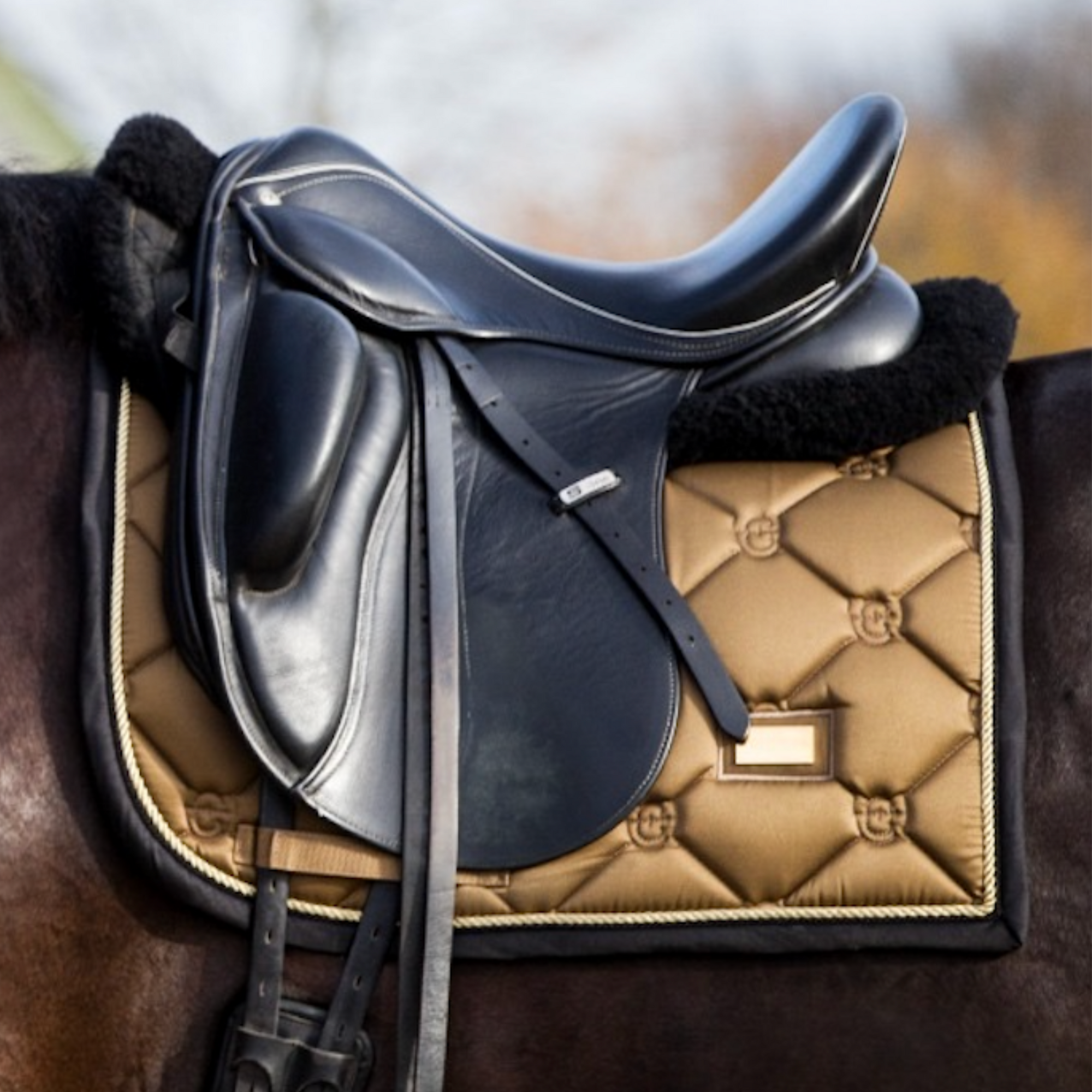Equestrian Stockholm Dressage Pad - Golden Brass