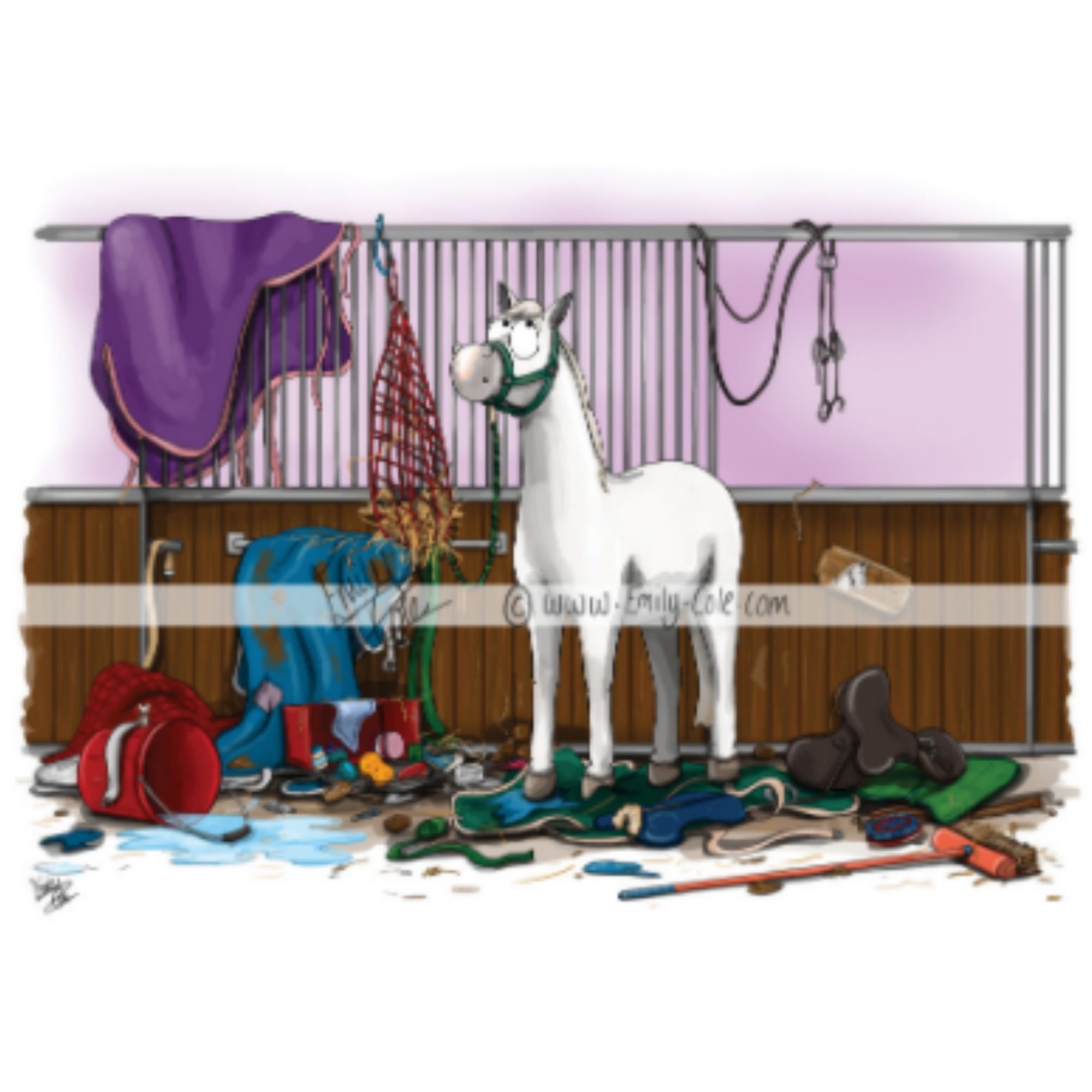 Emily Cole Greeting Cards - Unexplained Mess