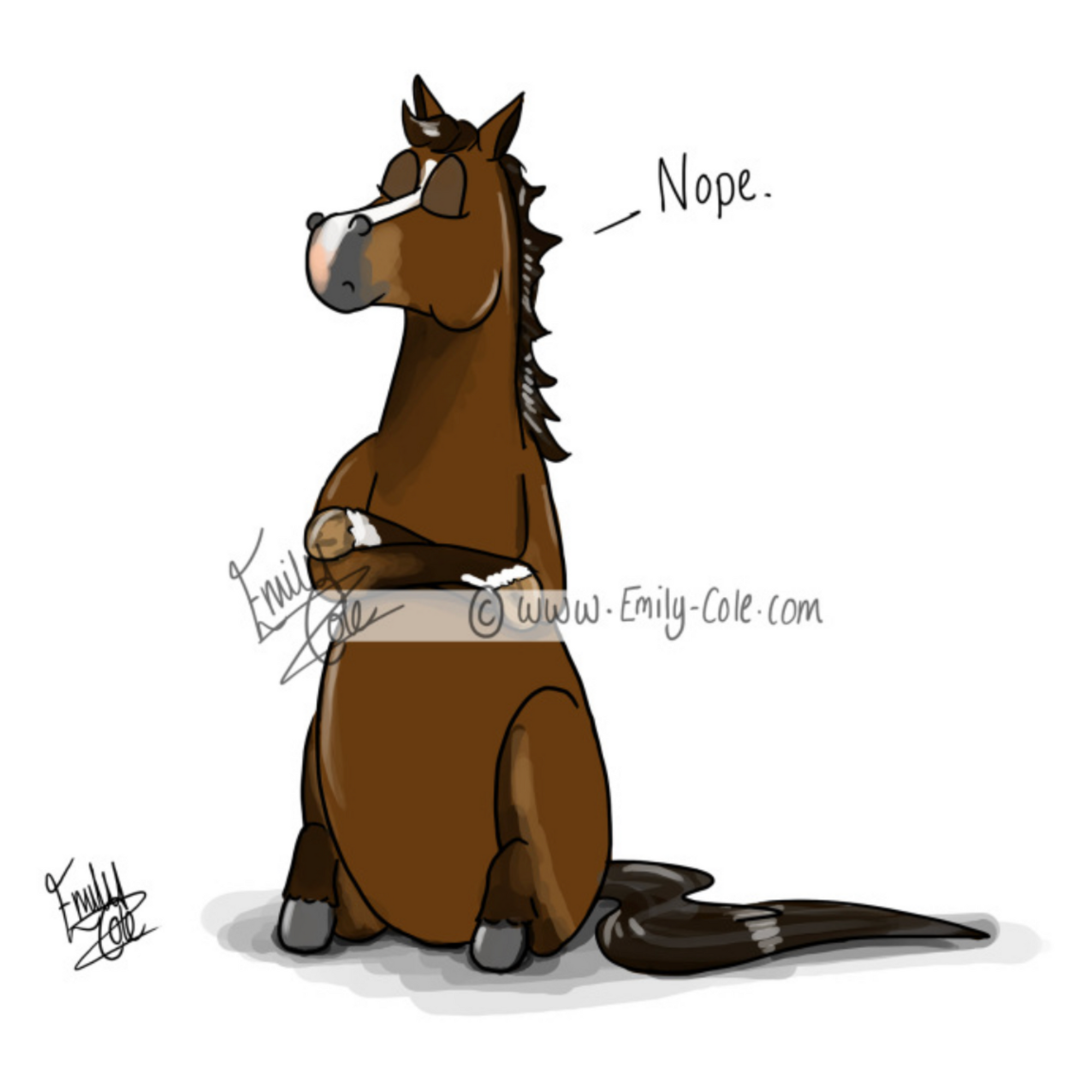 Emily Cole Greeting Cards - Nope